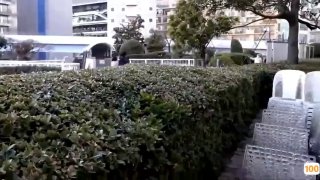 哪里能看到免费的毛片av_刚刚更新18禁成人视频